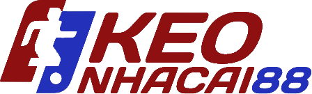 https://dstoken.io
